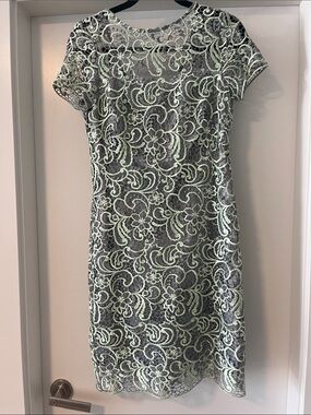 Elegant Mint Lace Overlay Dress for Women